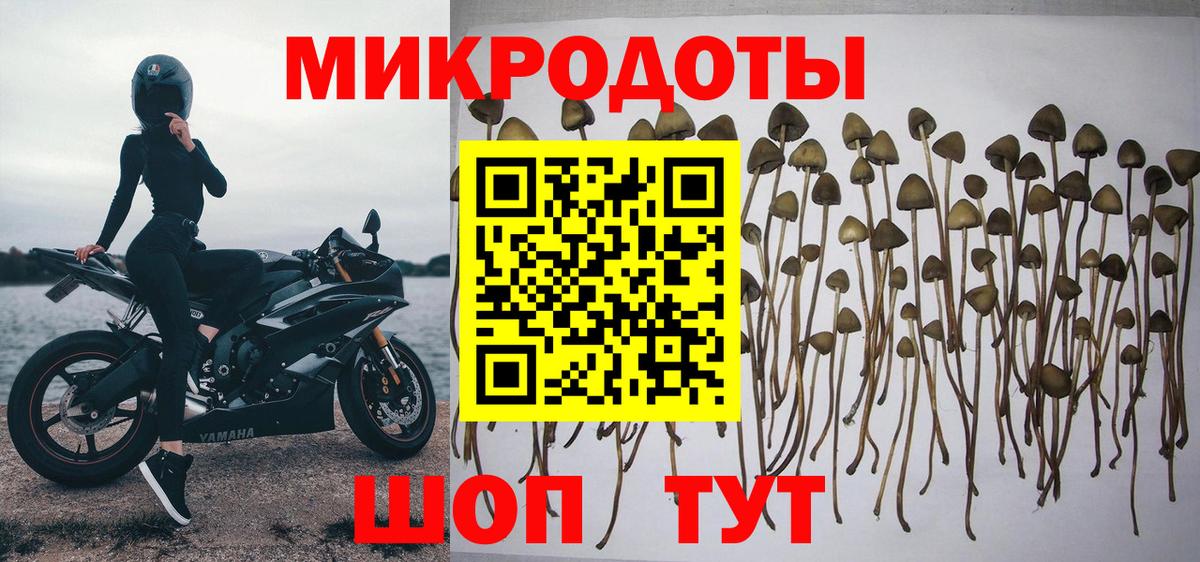 Псилоцибиновые грибы MAGIC MUSHROOMS  Псилоцибиновые грибы Magic Shrooms  Вход с VPN  Якутск 